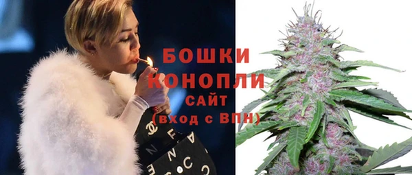 мдпв Лагань