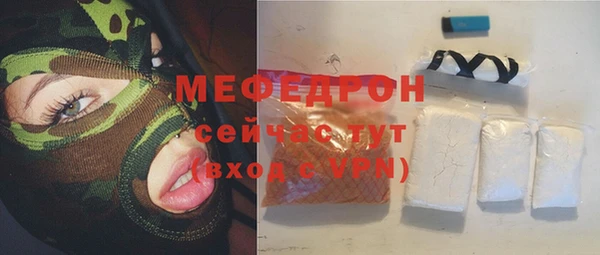 мдпв Лагань