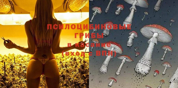 мдпв Лагань
