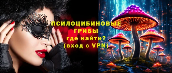 прущие крисы Лабытнанги