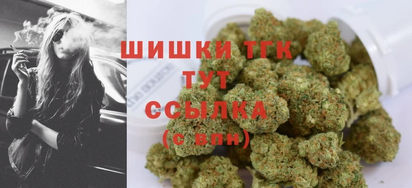 прущие крисы Лабытнанги