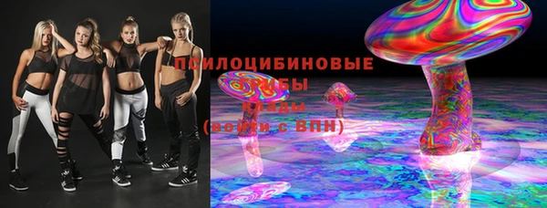 мдпв Лагань