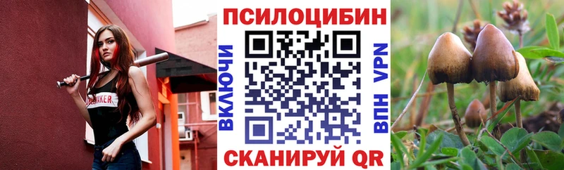 Псилоцибиновые грибы Psilocybe  Майский 