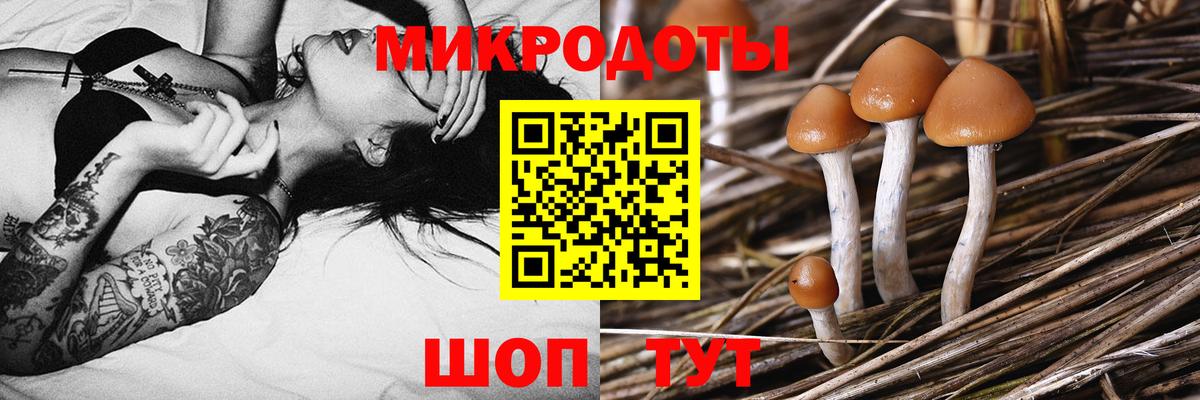 Галлюциногенные грибы MAGIC MUSHROOMS  Вход с VPN  Галлюциногенные грибы Psilocybe  Майский 